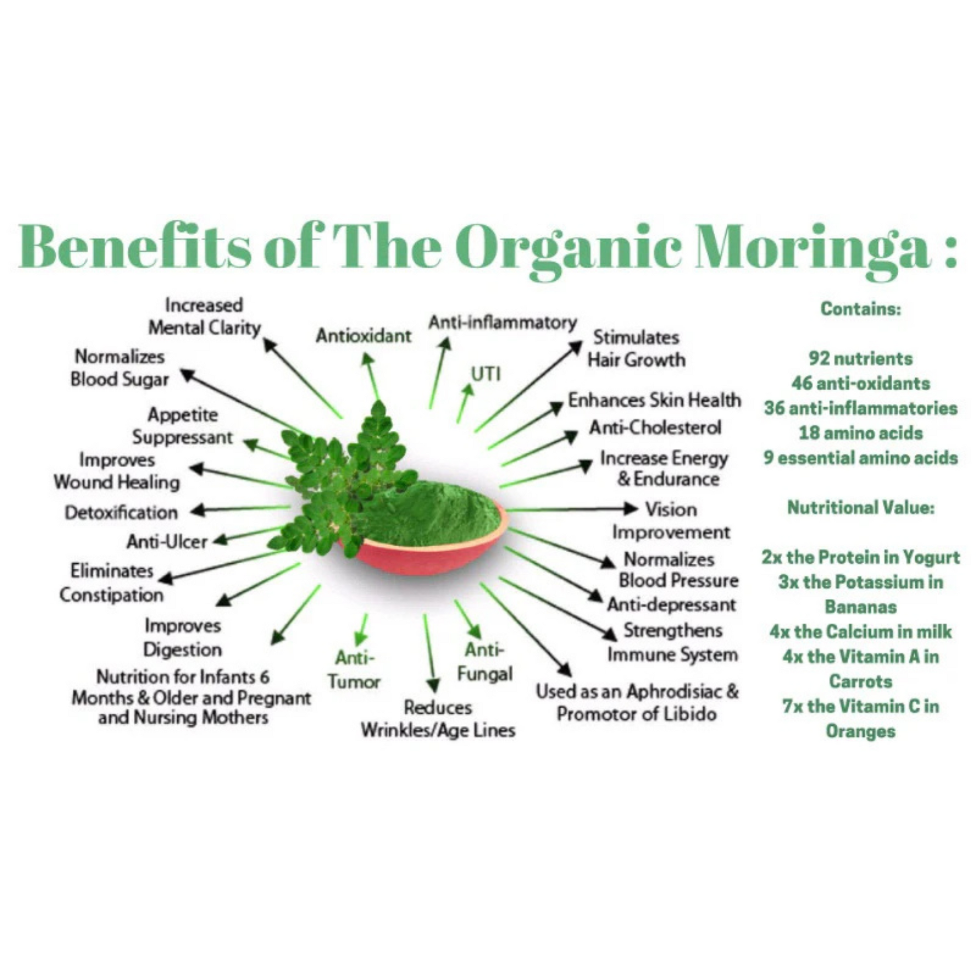 Infographic showing the benefits of Organic Moringa, highlighting its nutrients, antioxidants, and support for mental clarity, digestion, and immunity.