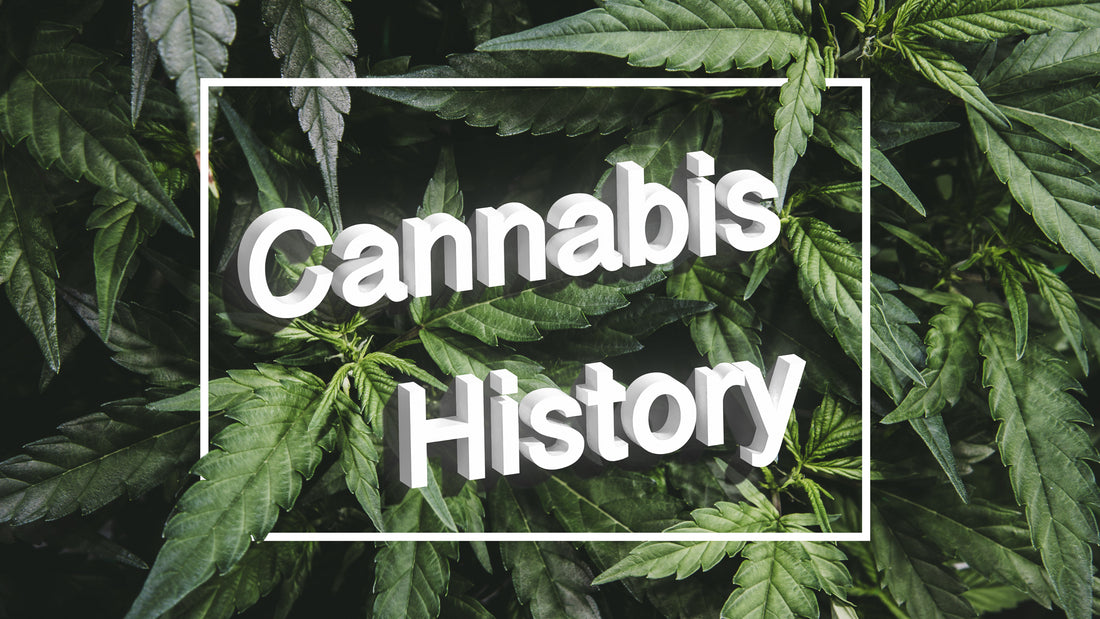 Unveiling the Enigmatic History and Modern Legalisation of Cannabis