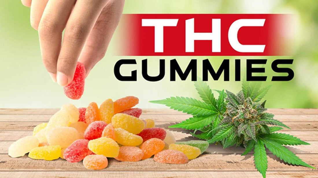 Colorful THC gummies with a cannabis plant, showcasing edible products containing tetrahydrocannabinol for psychoactive effects.