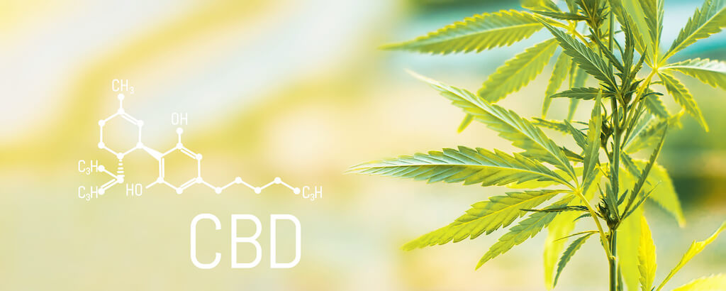 Unlocking the Power of CBD: Benefits, Types, Consumption, and Finding the Right CBD Product for You