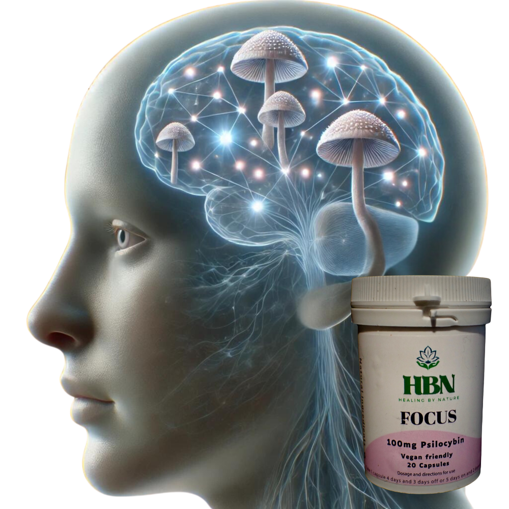 Profile view of a head with glowing mushrooms inside the brain. HBN Focus bottle with pink label shown on the right