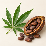 Illustrative hemp leaf, cacao pod and cacao beans in their natural form