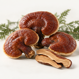AI-generated illustration of whole red Reishi mushrooms and slices on a light background